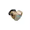 Pompe de refroidissement Sherwood Cummins QSM11 origine 3349392 4929178 5260393