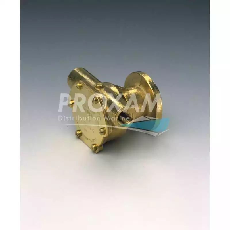 Pompe de refroidissement LOMBARDINI LDW1503M,2004M origine F4B-9