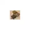 Pompe de refroidissement MAN SPX TYPE F9B-9 origine 50.06500-7011
