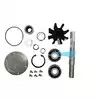 Kit majeur pour pompe JPR-VP0040DB