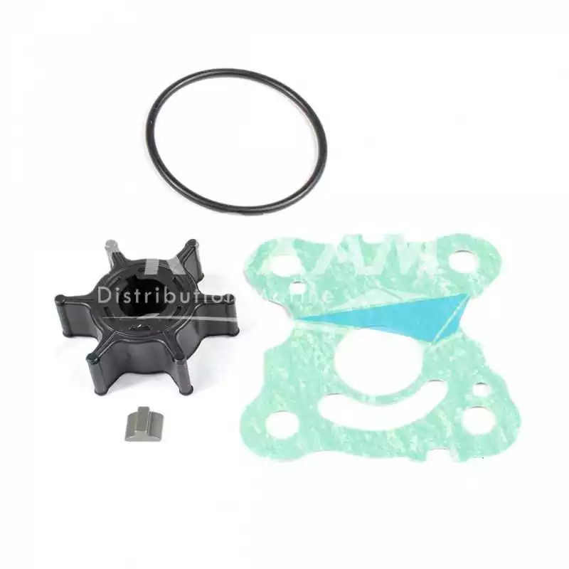 Kit de pompe à eau sans corps BF15D BF20D moteur Honda 06192-ZW9-A30