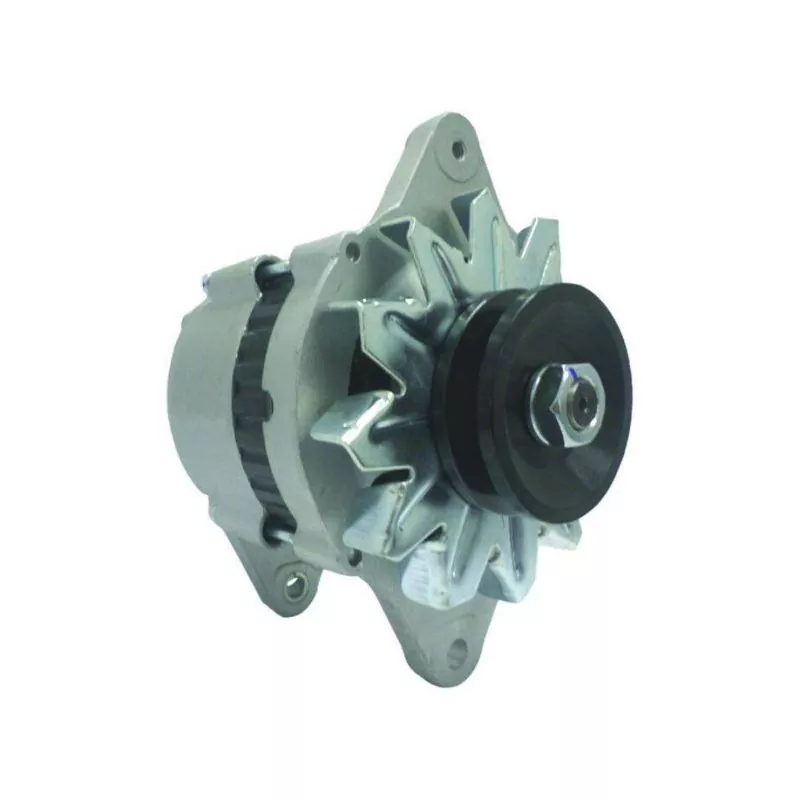 Alternateur de type Hitachi pour moteurs Yanmar 12V 55A129772 77200