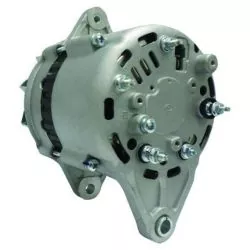 Alternateur de type Hitachi pour moteurs Yanmar 12V 55A129772 77200