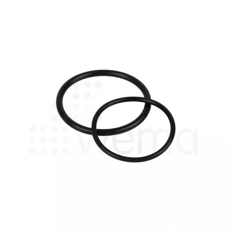 Lot de 2 joints jauge capteur de niveau Wema N3/S3 Lot de 2 joints jauge capteur de niveau Wema N3/S3