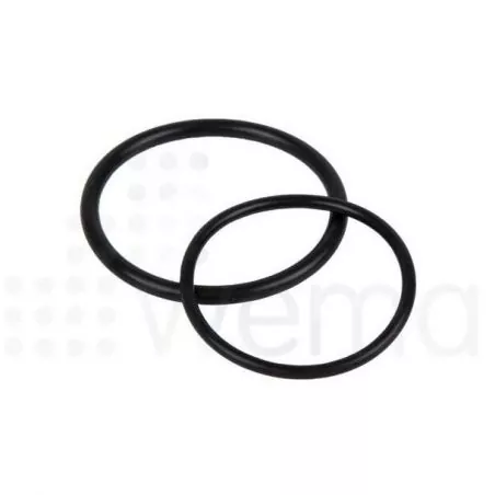 Lot de 2 joints jauge capteur de niveau Wema N3/S3