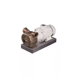 Pompe multi-services 24V bronze auto-amorçante transfert diesel eau débit 52 L/mn