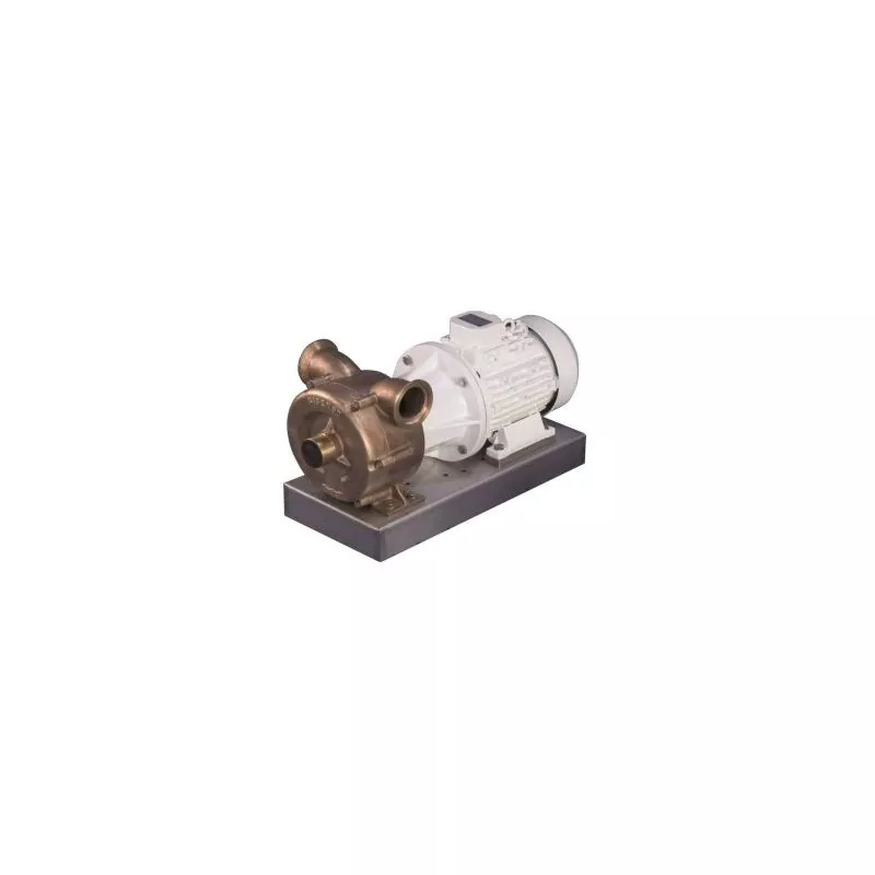 Pompe multi-services 24V bronze auto-amorçante transfert diesel eau débit 52 L/mn