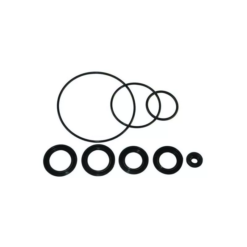 Kit joints d'embase Suzuki 25700-98J00 300cv 4T DF300 2007 et après