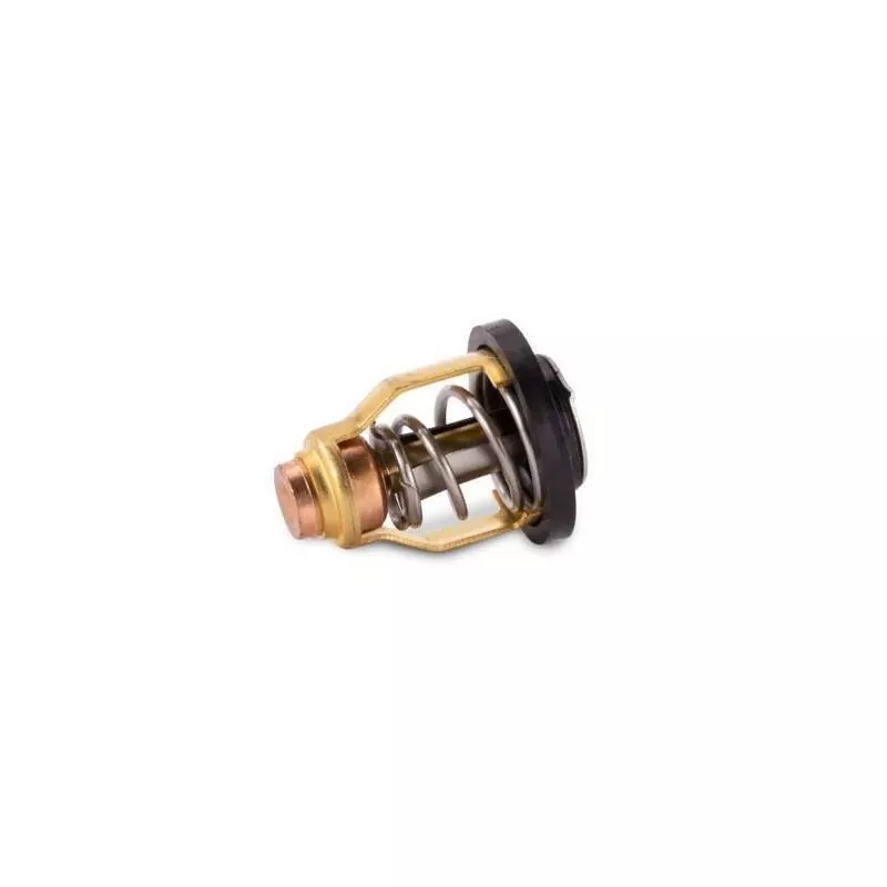 Thermostat hors-bord Suzuki 71°C 17670-90J11 4T DF70 à DF300