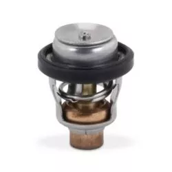 Thermostat Hors-bord Suzuki 60°C 17670-94404 2T DT35 DT40 4T DF9.9 à DF70