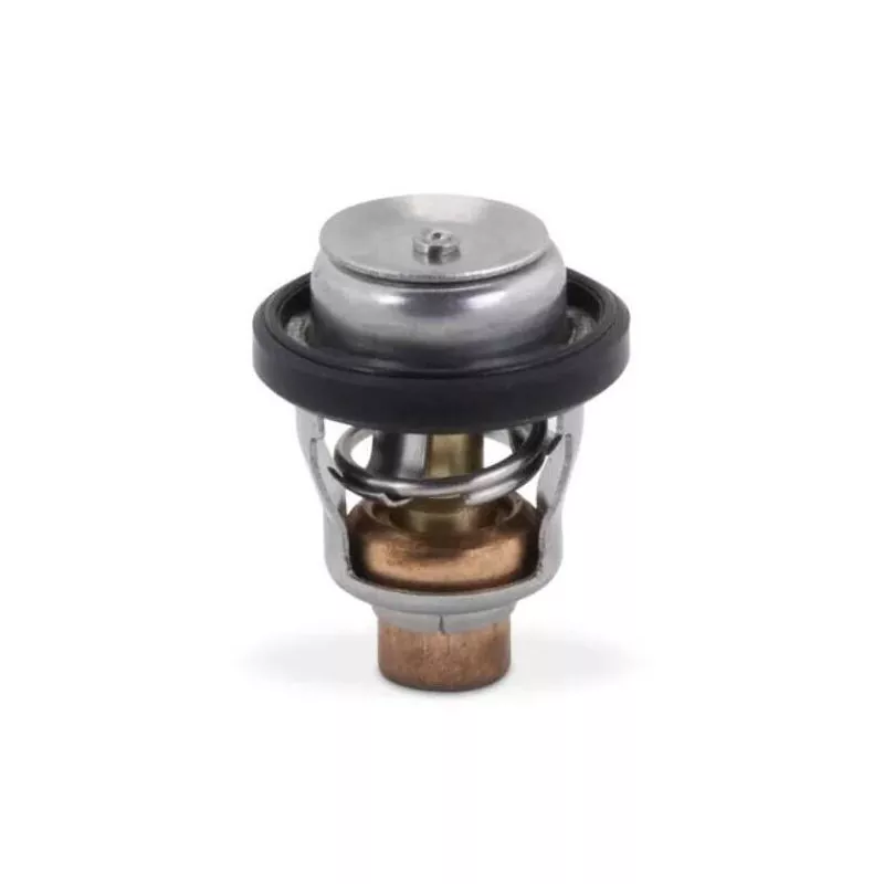 Thermostat Hors-bord Suzuki 60°C 17670-94404 2T DT35 DT40 4T DF9.9 à DF70