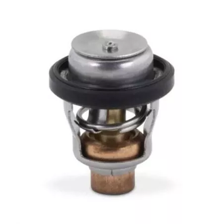 Thermostat Hors-bord Suzuki 60°C 17670-94404 2T DT35 DT40 4T DF9.9 à DF70