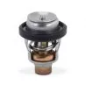 Thermostat Hors-bord Suzuki 60°C 17670-94404 2T DT35 DT40 4T DF9.9 à DF70