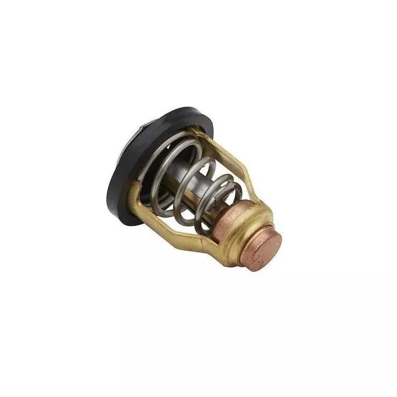 Thermostat hors-bord Yamaha/Suzuki 60°C 17670-90J01 67F-12411-01