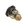 Thermostat hors-bord Yamaha/Suzuki 60°C 17670-90J01 67F-12411-01