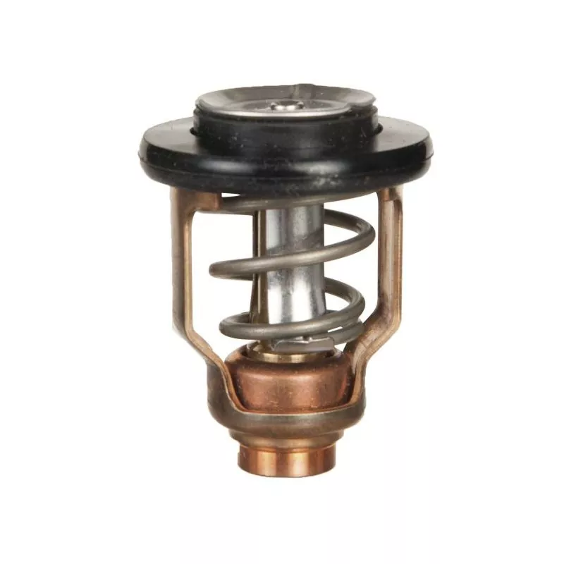 Thermostat Hors-bord Suzuki/Yamaha 4T 60°C 17670-90J00