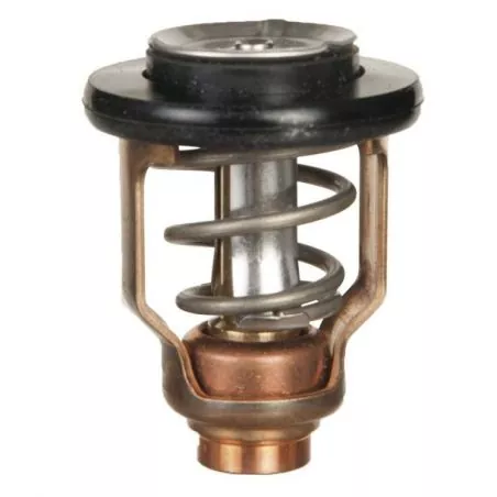 Thermostat Hors-bord Suzuki/Yamaha 4T 60°C 17670-90J00