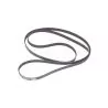 Courroie serpentine Mercury 135-150-175 DFI 1998 &+ 57-828507Q4 8285074