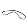 Courroie serpentine Mercury 200 DFI 1997 &+ 225 DFI 1998 &+ 17-828507 1