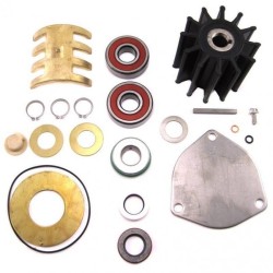 Kit majeur réparation pompe Sherwood P171 P172 P176 P1710 P1726 P1732
