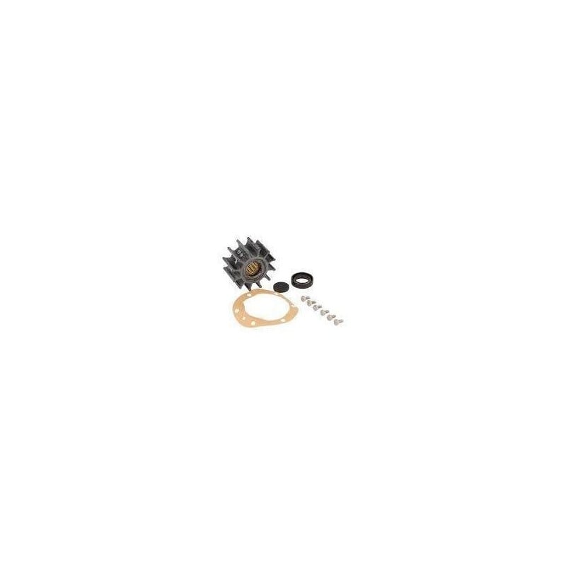 Kit de maintenance Jabsco SK384-0001 pour pompe série 29500