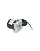 Moteurs de relevage (trim) Johnson / Evinrude | Shop-Marine