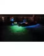 Projecteurs sous-marins LUMISHORE – LED haute performance et couleurs contrôlées