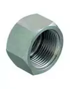 Bouchons inox & laiton marins – embouts filetés pour circuits d’eau