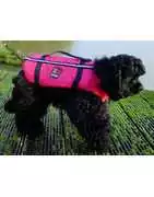 Gilets de sauvetage pour chiens – sécurité nautique | Shop-Marine